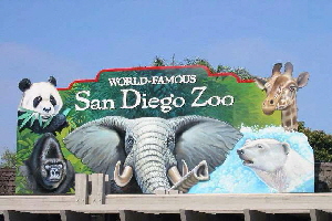 zoo san diego