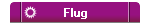 Flug